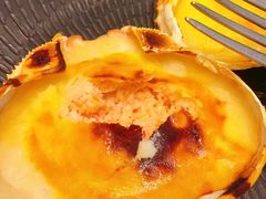-上海新发展亚太JW万豪酒店