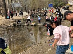 -白水寺森林公园