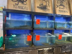 -鱼王府大酒店