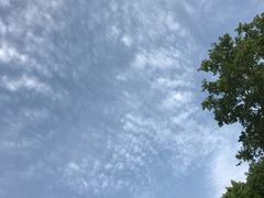 -颐和路民国时期公馆风貌区