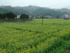 -红山村