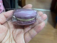 -多乐之日(和平伊势丹店)