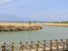 -野鸭湖国家湿地公园