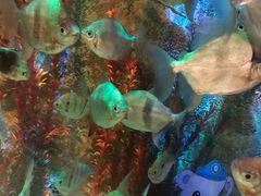 -沈阳海洋探索中心