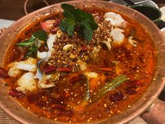 香辣酸菜黑鱼火锅-云海肴·汽锅鸡·云南菜(美罗城店)