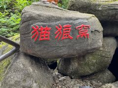 -茅兰沟国家森林公园