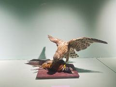 -国家自然博物馆