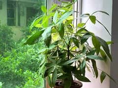 -贵州沾水米线(学田湾店)