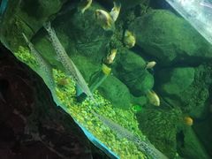 -苏州海洋馆