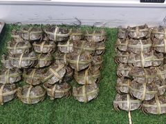 -海鲜e族(马王堆店)