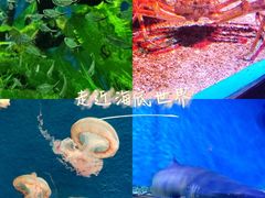 -正佳极地海洋世界