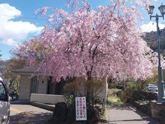 -半岛渔港 • 阿翁火锅馆(将军澳广场店)