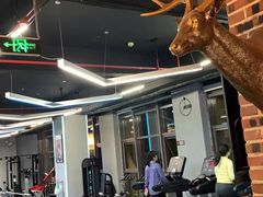 -豪思成DK健身私教连锁(凯乐国际店)