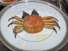 -新光酒家·河豚·海鲜·蟹料理(浦东店)