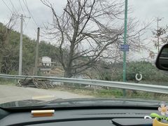 -长沙黑麋峰国家森林公园