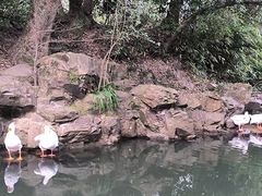 -兰亭风景区