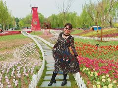 -廊坊文化艺术中心