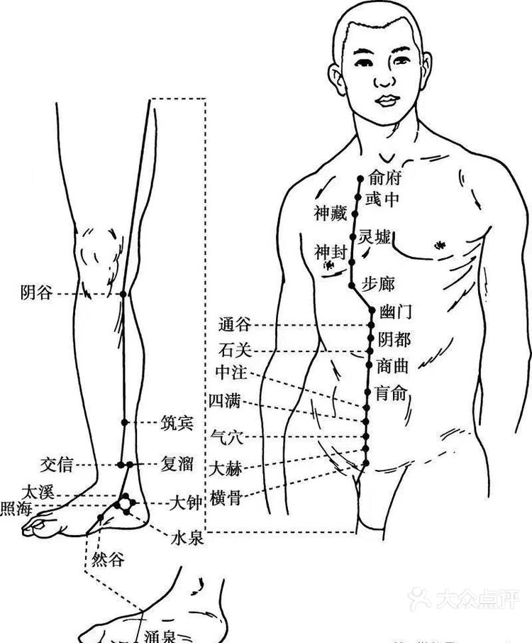 足少阴肾经图解图片