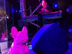 -288 Livehouse 酒吧(思南公馆店)