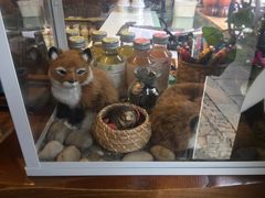 -狐狸家·酸奶酪专门店(平江路店)