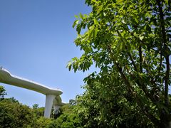 -飞凤山奥体公园