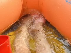 -将军关探险漂流