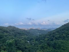 -阳台山森林公园