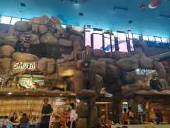 -卡通尼·Safari非洲探索乐园·生日会(金桥国际商业广场店)