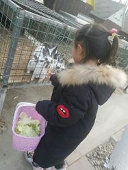 -蓝可可亲子乐园(北苑店)