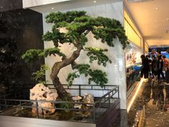 -龙船人海鲜城(长治路店)