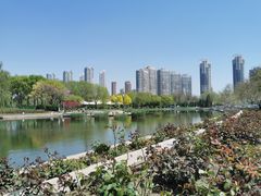 -泰丰公园