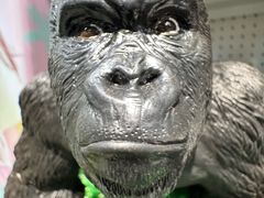 -TOYSRUS玩具反斗城(天津远洋乐堤港店)