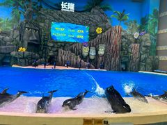 -珠海长隆海洋王国