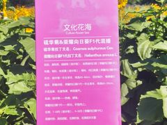-君乐宝优致牧场