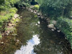 -白马涧龙池景区