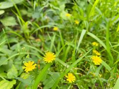 -龙洞风景区-藏龙涧