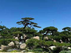 -罗红摄影艺术馆