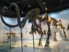 -辽宁古生物博物馆