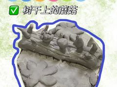 -尼莫儿童美术(三阳路融科天城校区)