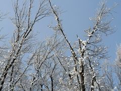 -中旅松花湖滑雪场