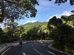 -深圳仙湖植物园-停车场