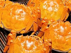 -上井料理黑金店(IFS国金中心店)