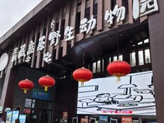 -青藏高原野生动物园
