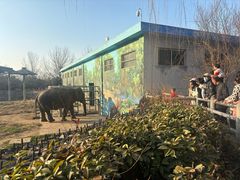 -西安秦岭野生动物园