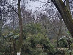 -岳麓山风景名胜区