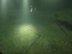 -白鹤梁水下博物馆