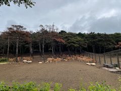 -沈阳森林动物园