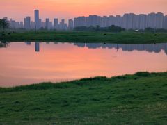 -洋湖国家湿地公园
