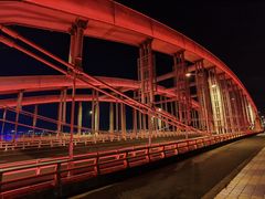 -春花秋色城市公园