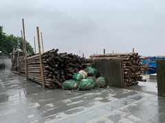 -汤山公园